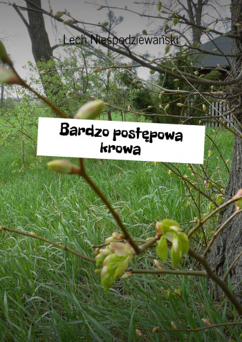 Bardzo postępowa krowa