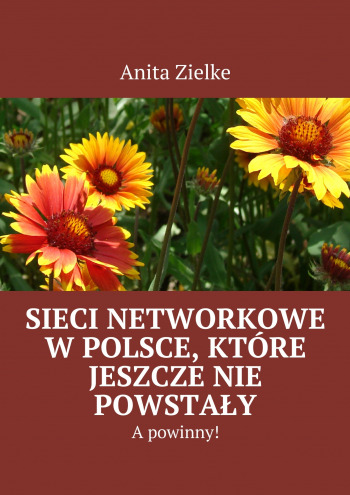 Sieci Networkowe w Polsce, które jeszcze nie powstały